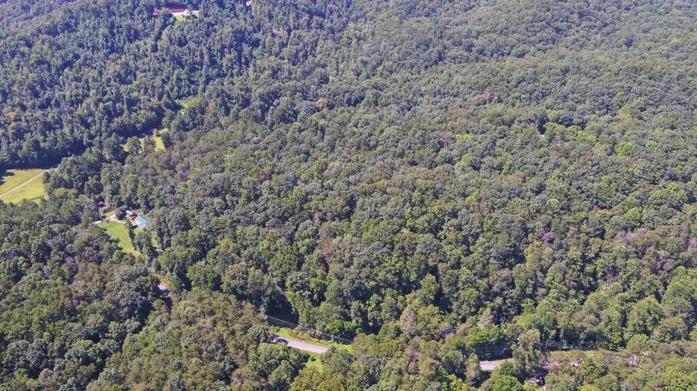 1374 Lucius Road Cherry Log, GA 30522
