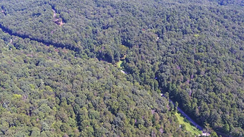 1374 Lucius Road Cherry Log, GA 30522