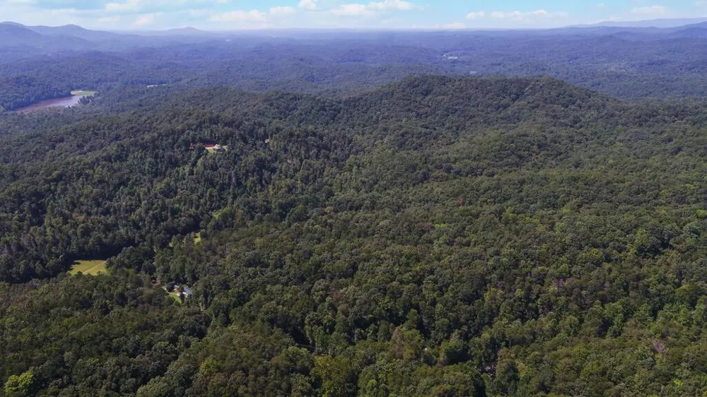1374 Lucius Road Cherry Log, GA 30522