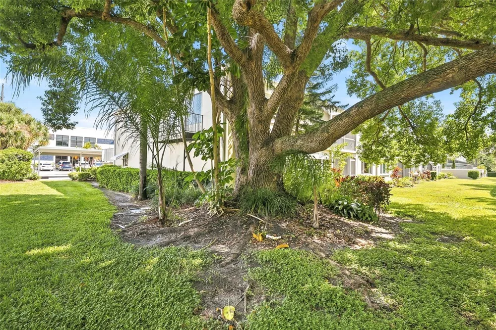 919 OSCEOLA ROAD #207 Belleair, FL 33756