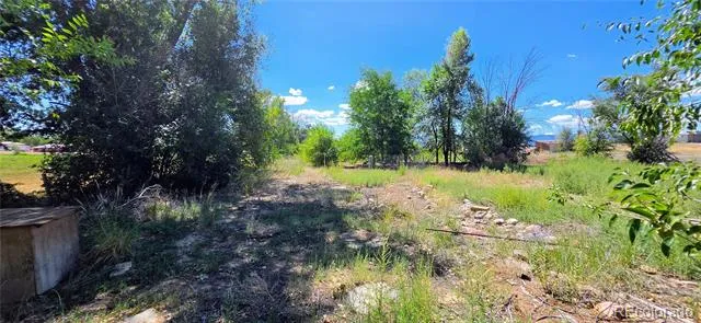 828 3rd Street Penrose, CO 81240