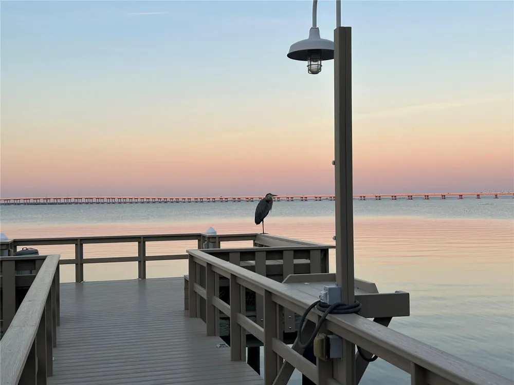 2980 HAINES BAYSHORE ROAD #134 Clearwater, FL 33760