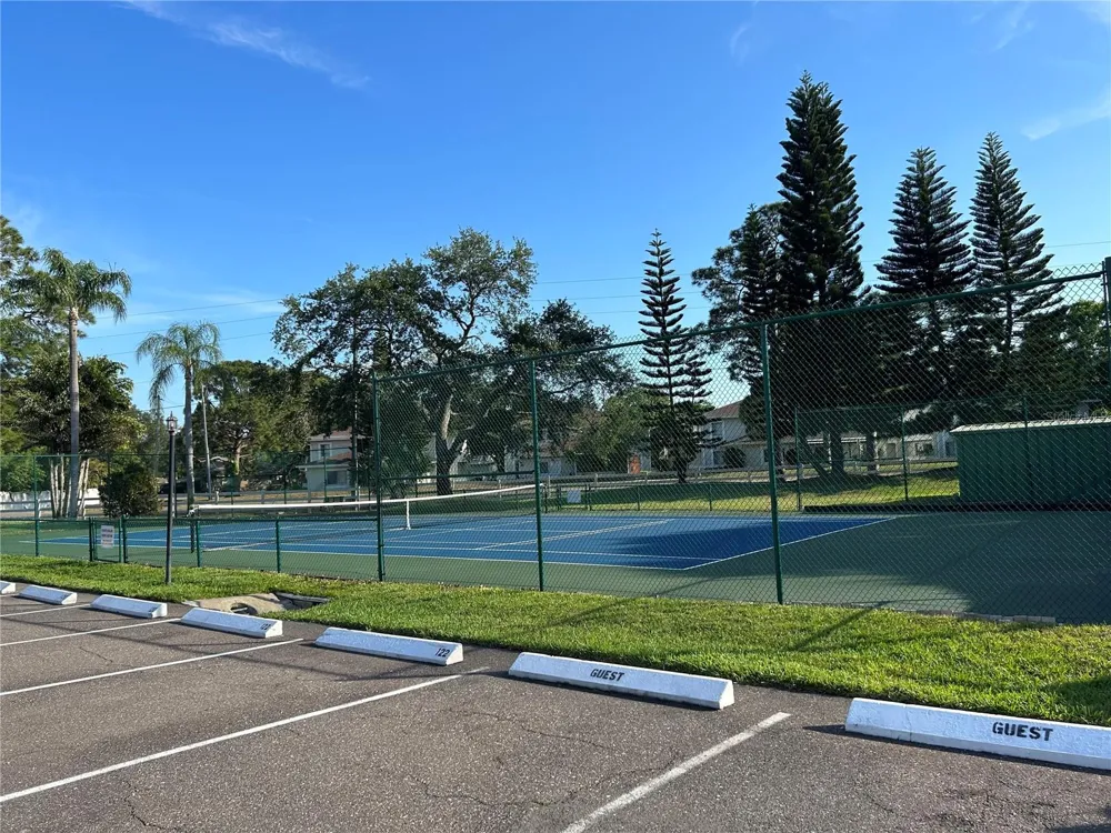 2980 HAINES BAYSHORE ROAD #134 Clearwater, FL 33760