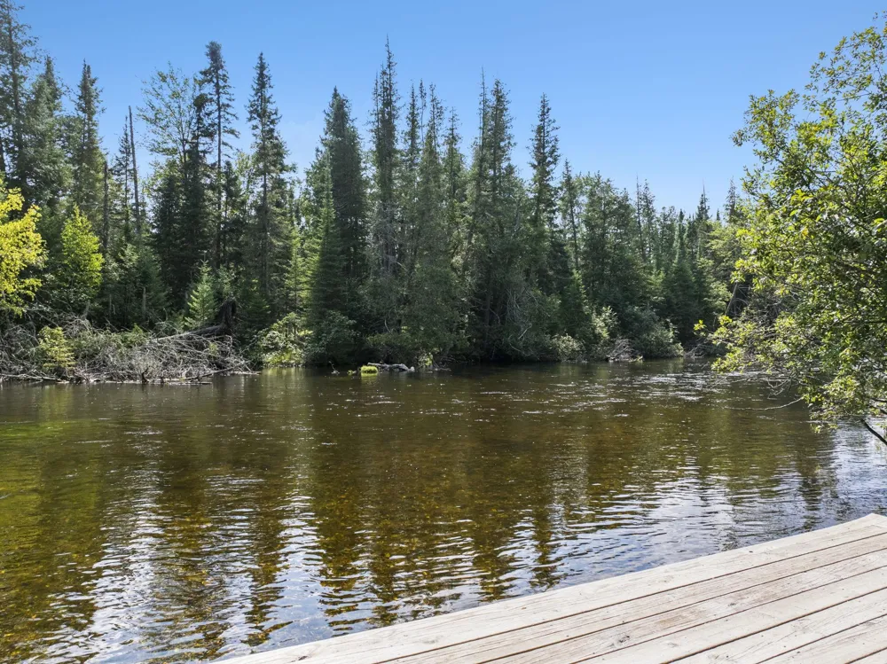 3182 Twin Pine Road Grayling Charter Township, MI 49738