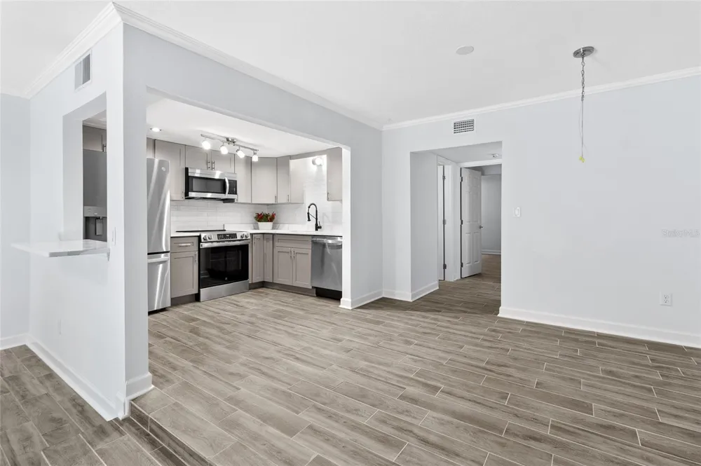 505 PLAZA SEVILLE COURT #9 Treasure Island, FL 33706