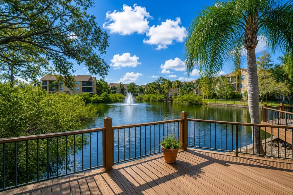 11901 4TH STREET #5305 St Petersburg, FL 33716