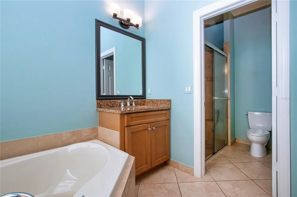 15847 COBBLE MILL DRIVE Wimauma, FL 33598