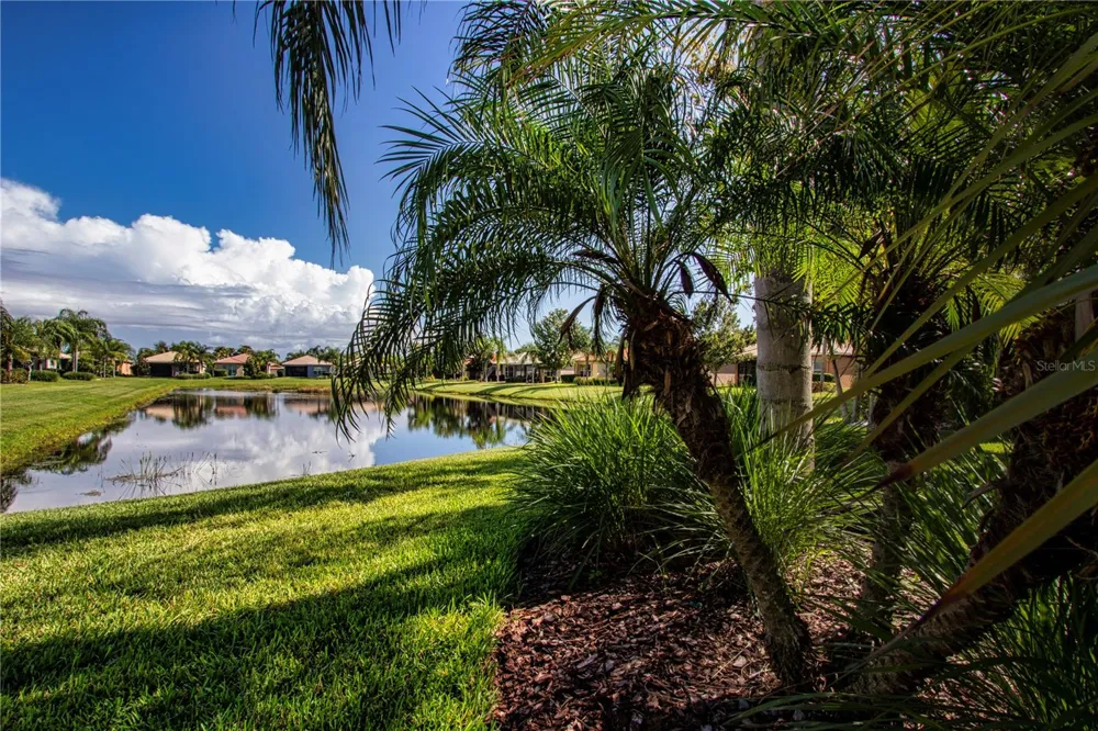 15847 COBBLE MILL DRIVE Wimauma, FL 33598