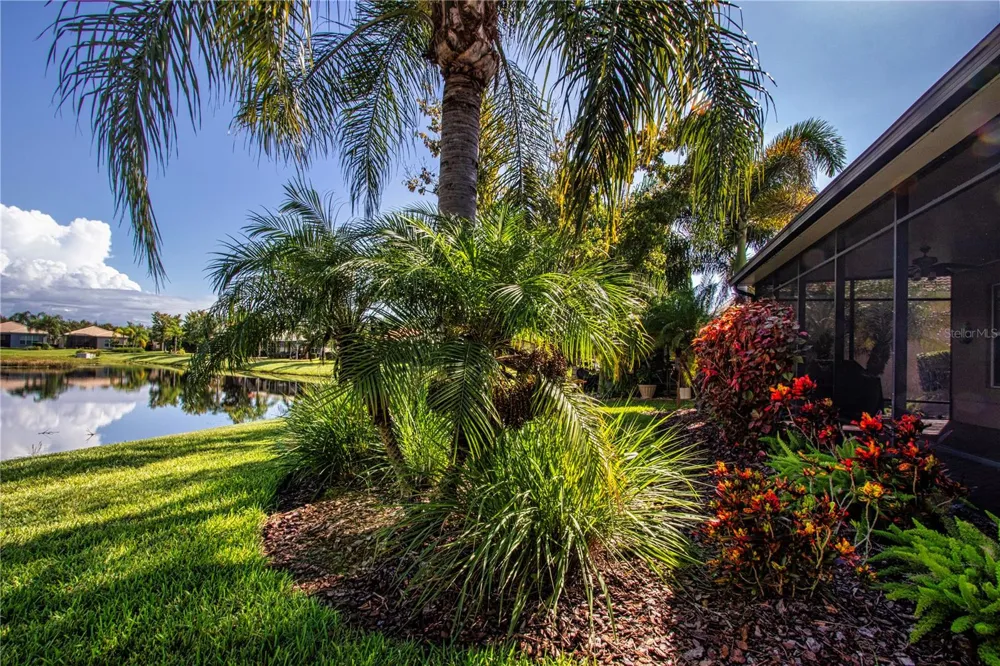 15847 COBBLE MILL DRIVE Wimauma, FL 33598