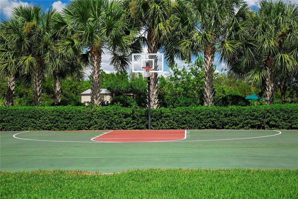 15847 COBBLE MILL DRIVE Wimauma, FL 33598