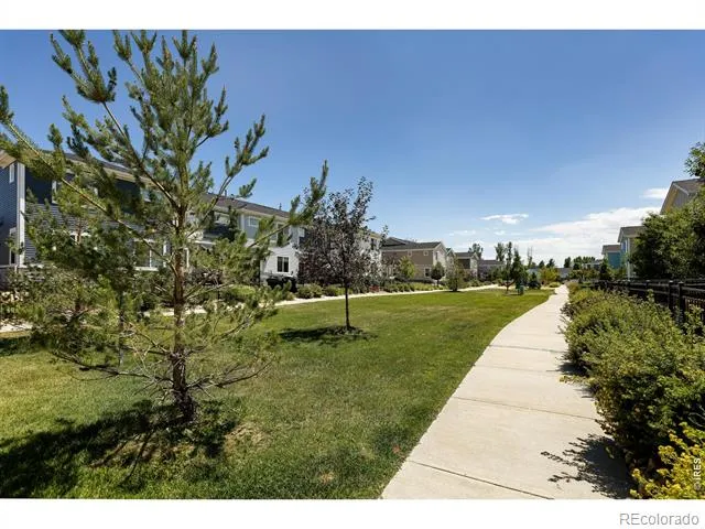 610 Stonebridge Drive Longmont, CO 80503