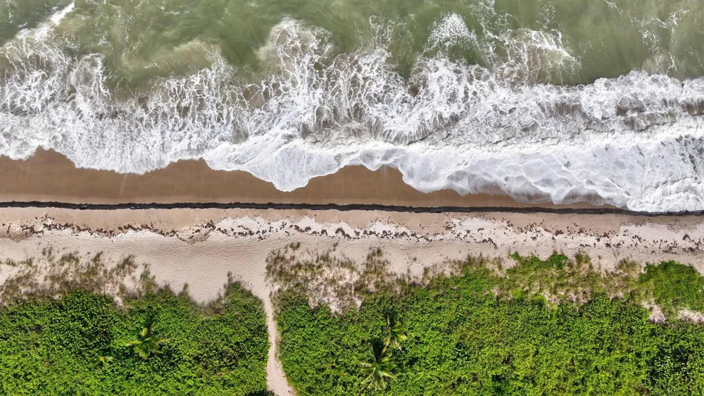 801 S OCEAN DRIVE #PH207 Fort Pierce, FL 34949