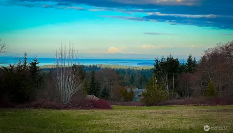 404 Black Bear Trail