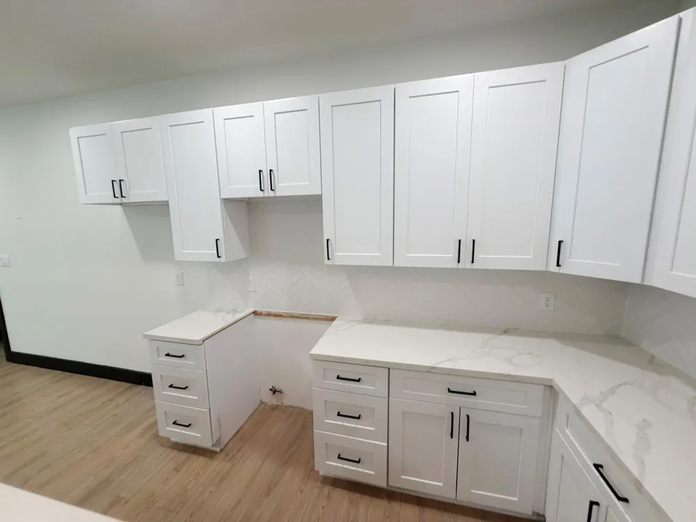 113 Delmar Street Houston, TX 77011