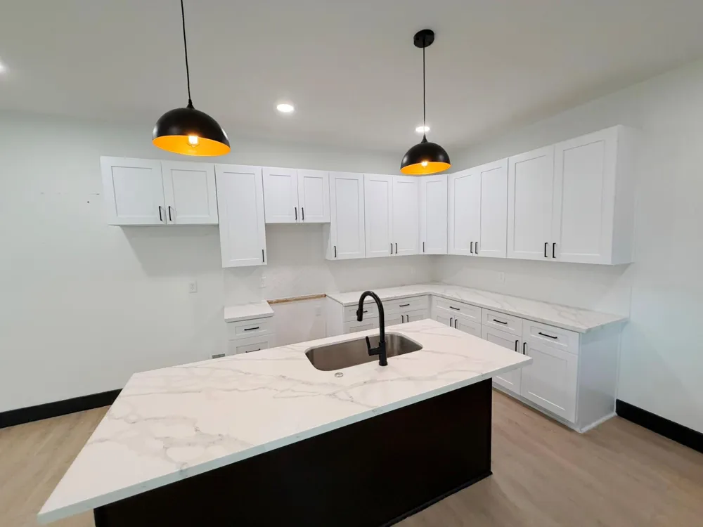 113 Delmar Street Houston, TX 77011