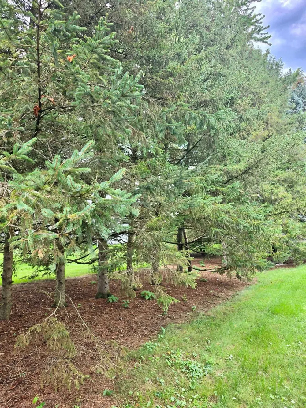 4850 Shore Drive Coloma Charter Township, MI 49038