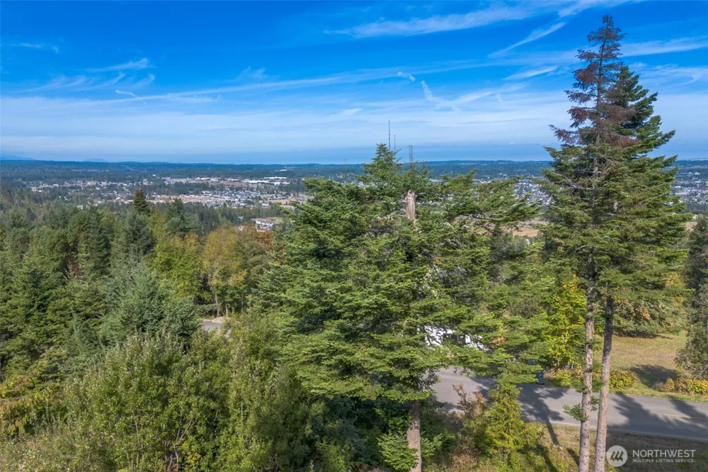 346 Ravens Ridge Road Sequim, WA 98382