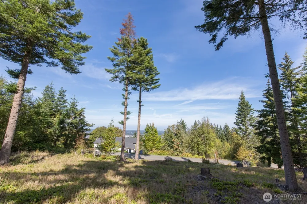 346 Ravens Ridge Road Sequim, WA 98382