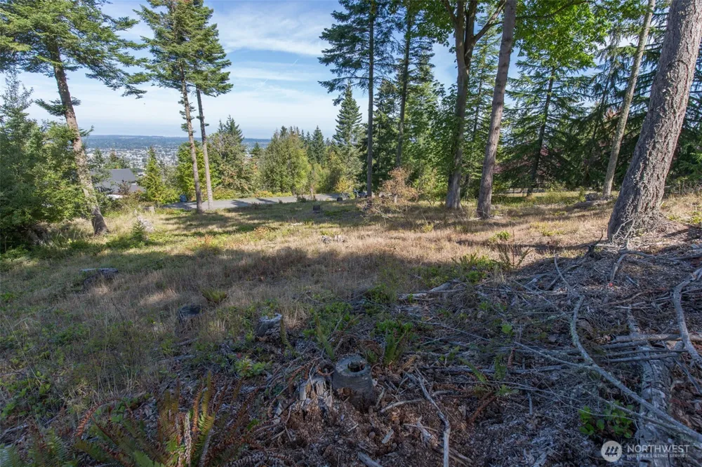 346 Ravens Ridge Road Sequim, WA 98382