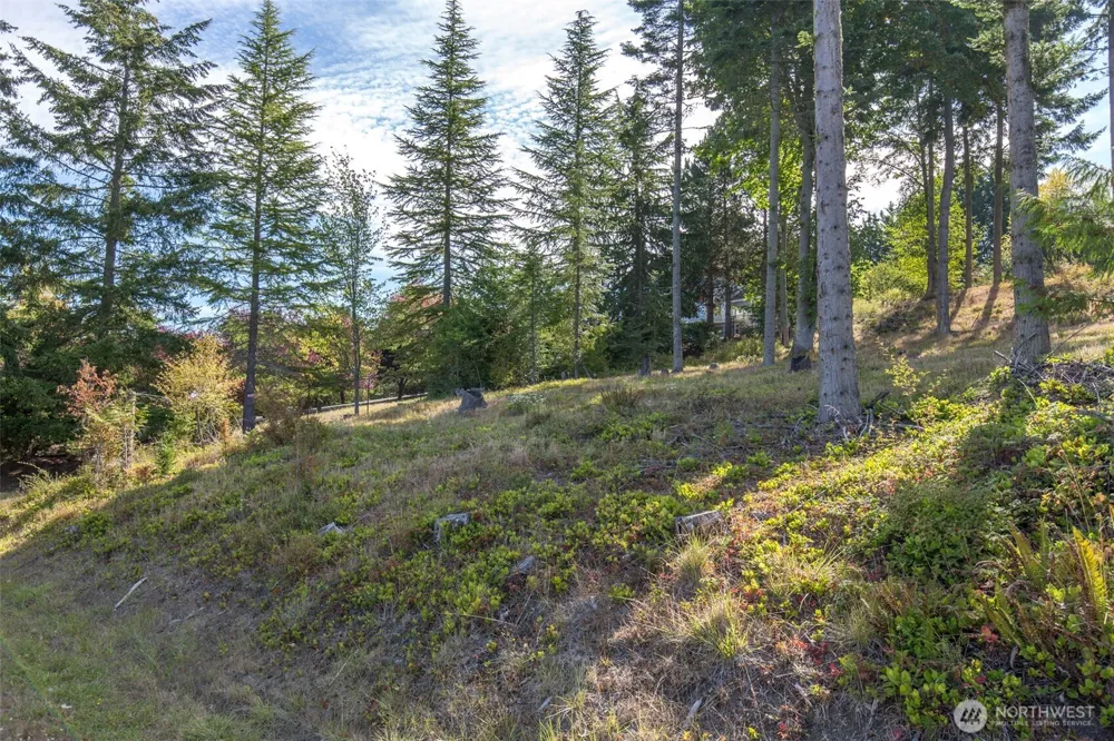 346 Ravens Ridge Road Sequim, WA 98382