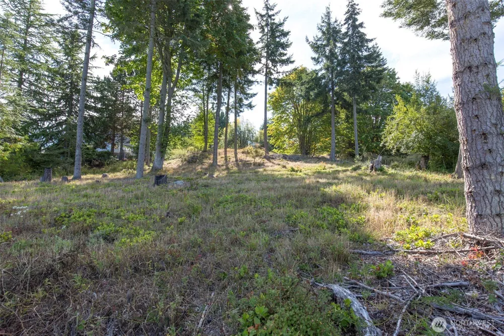 346 Ravens Ridge Road Sequim, WA 98382