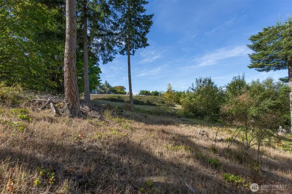 346 Ravens Ridge Road Sequim, WA 98382