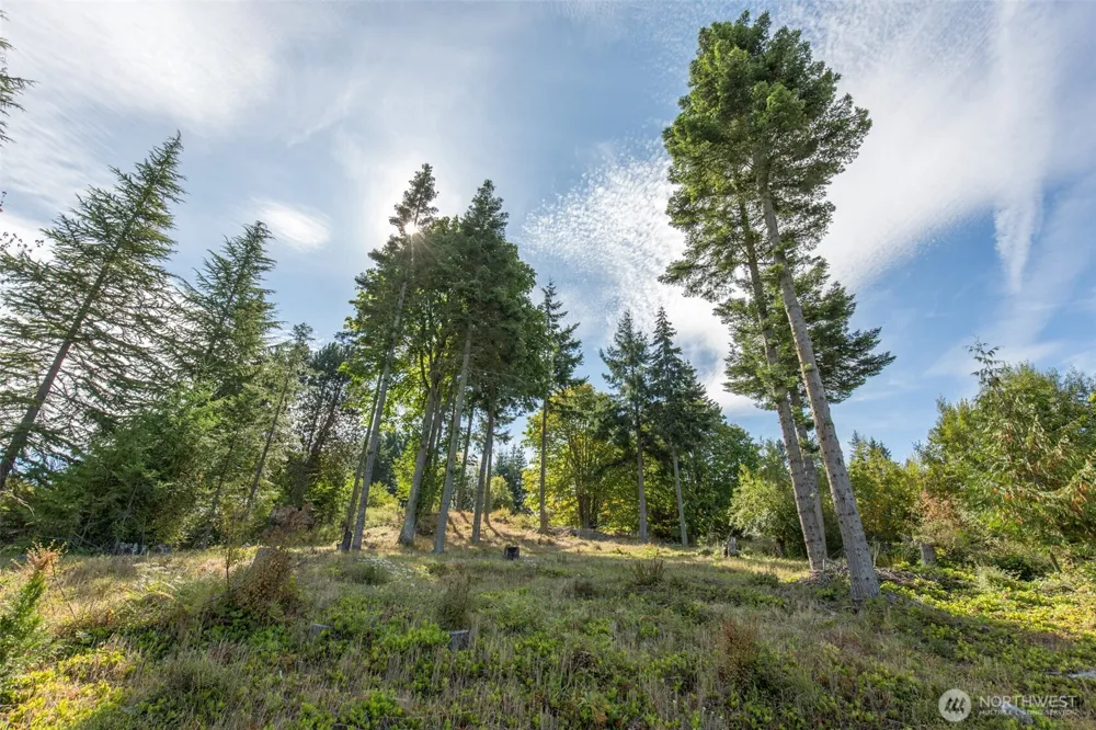 346 Ravens Ridge Road Sequim, WA 98382