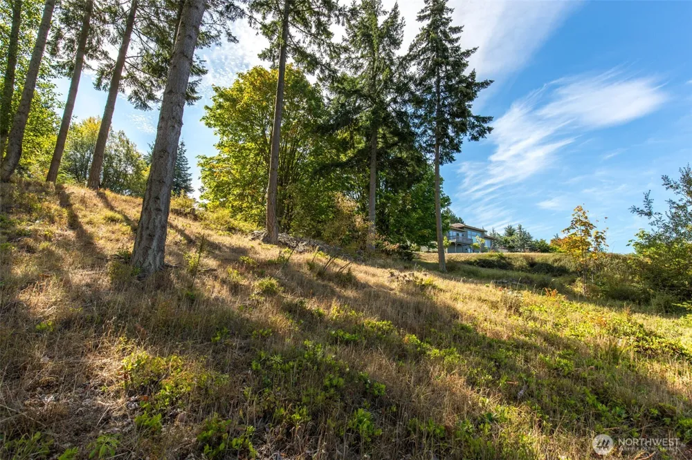 346 Ravens Ridge Road Sequim, WA 98382