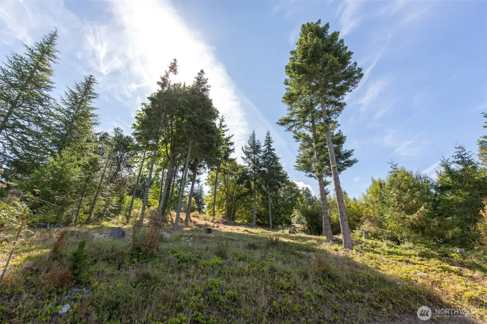 346 Ravens Ridge Road Sequim, WA 98382