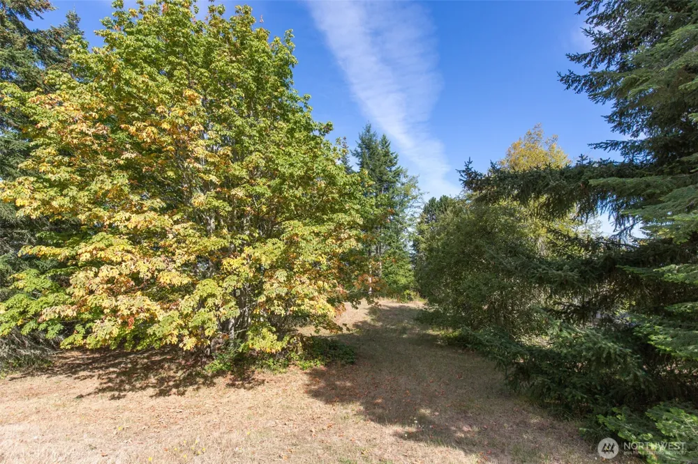 346 Ravens Ridge Road Sequim, WA 98382