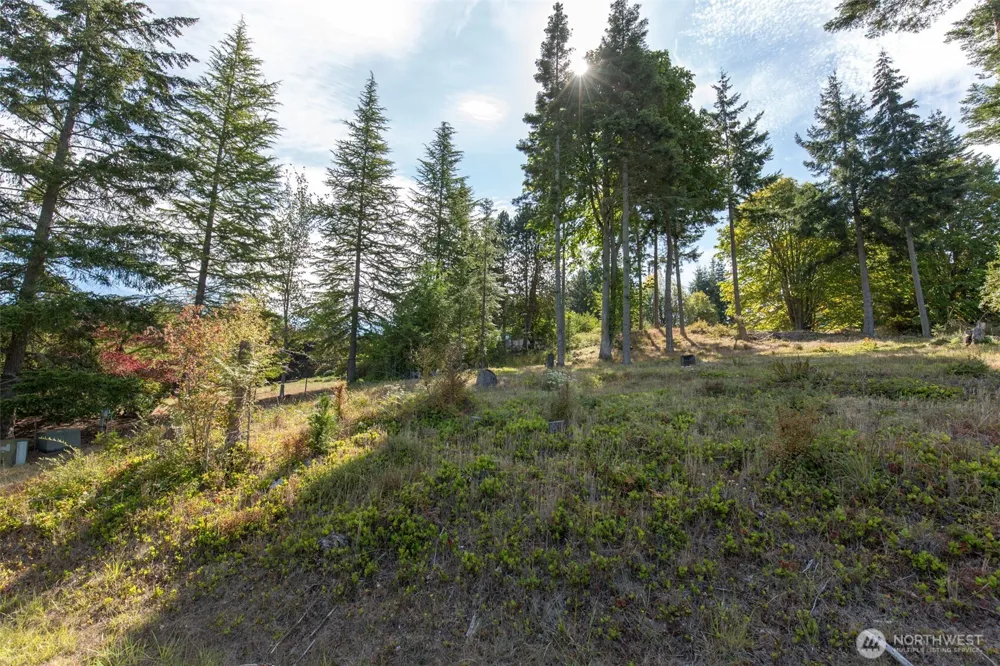 346 Ravens Ridge Road Sequim, WA 98382
