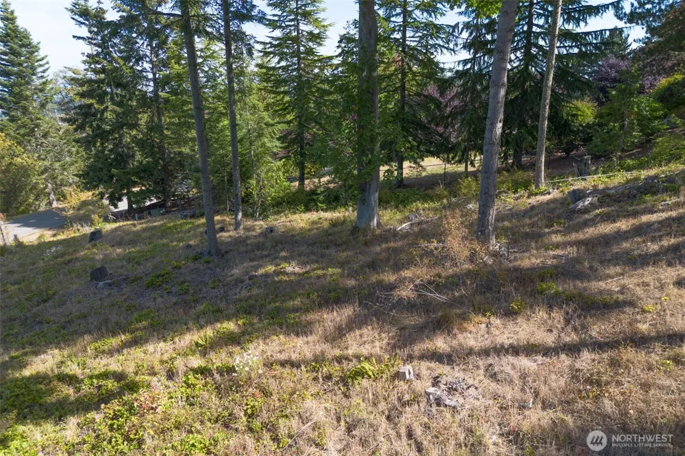 346 Ravens Ridge Road Sequim, WA 98382