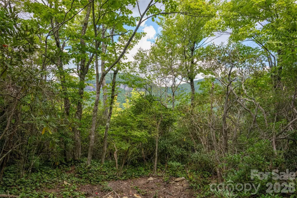 916 Meadow Ridge Drive Lake Toxaway, NC 28747