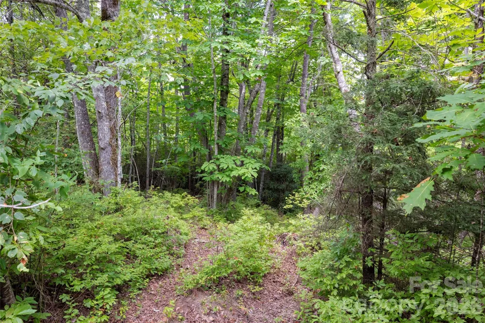 916 Meadow Ridge Drive Lake Toxaway, NC 28747