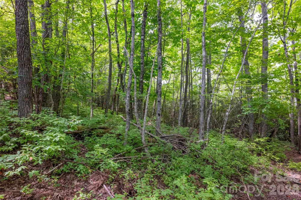 916 Meadow Ridge Drive Lake Toxaway, NC 28747