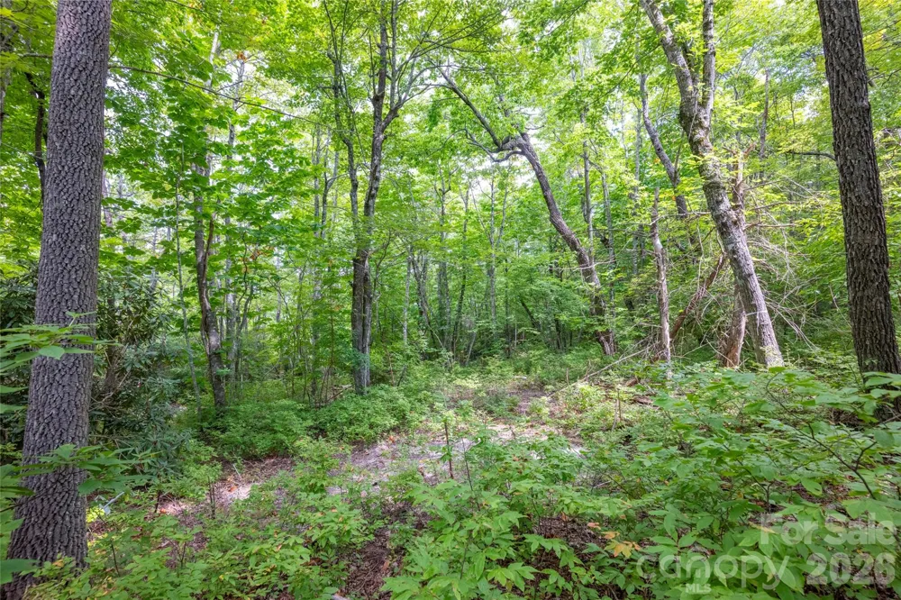 916 Meadow Ridge Drive Lake Toxaway, NC 28747