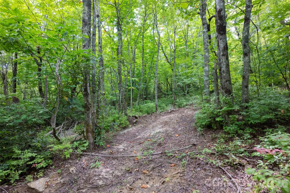 916 Meadow Ridge Drive Lake Toxaway, NC 28747