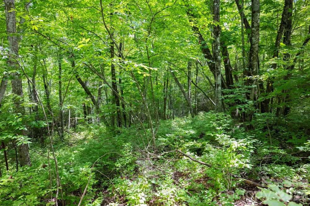916 Meadow Ridge Drive Lake Toxaway, NC 28747