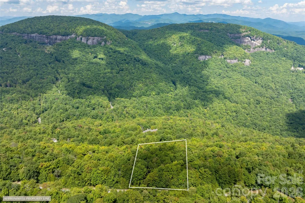 916 Meadow Ridge Drive Lake Toxaway, NC 28747
