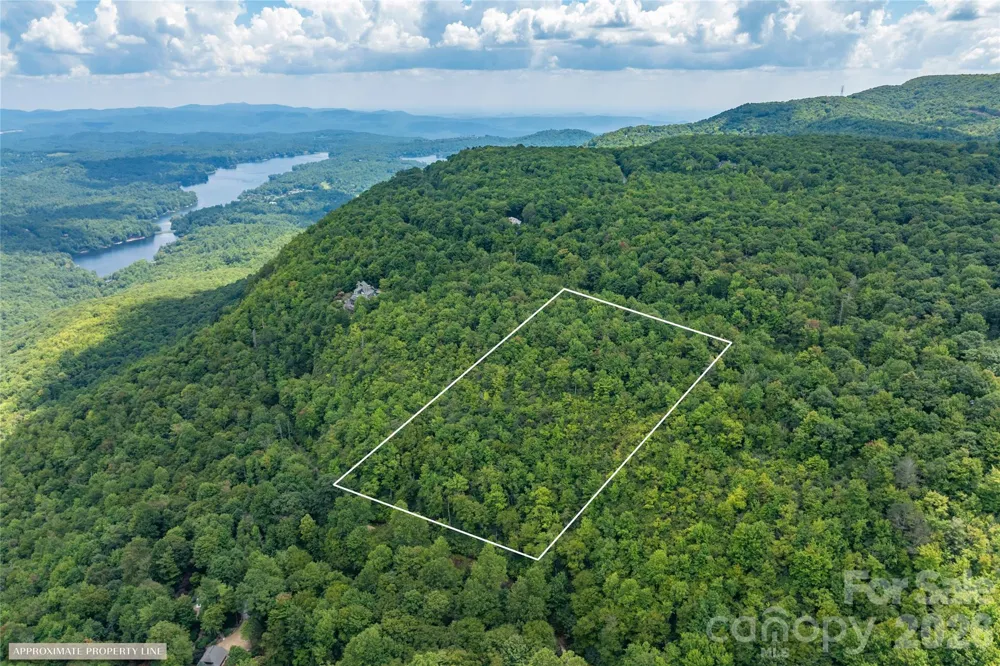 916 Meadow Ridge Drive Lake Toxaway, NC 28747