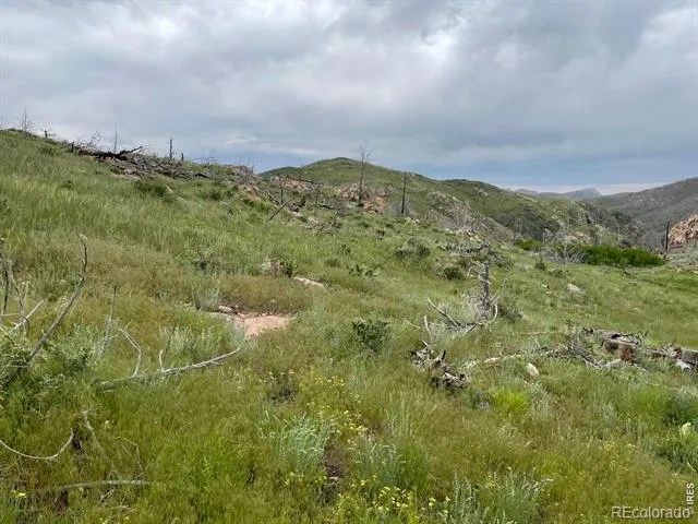1400 Meadow Mountain Drive Livermore, CO 80536