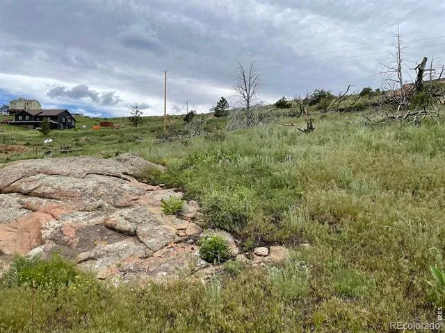 1400 Meadow Mountain Drive Livermore, CO 80536