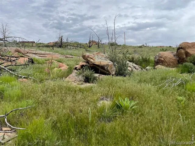1400 Meadow Mountain Drive Livermore, CO 80536
