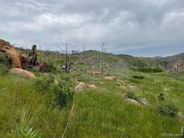 1400 Meadow Mountain Drive Livermore, CO 80536
