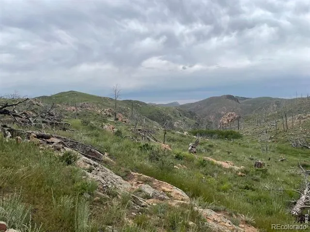 1400 Meadow Mountain Drive Livermore, CO 80536