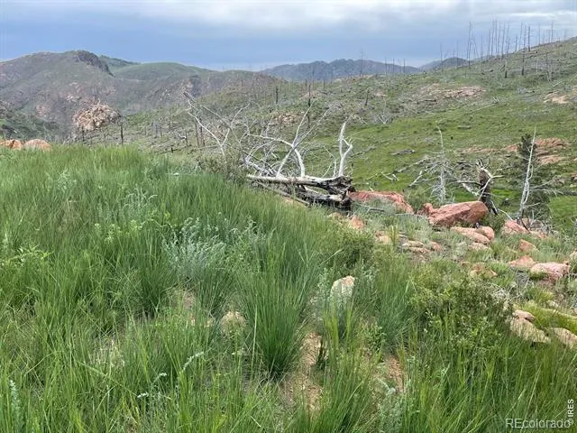 1400 Meadow Mountain Drive Livermore, CO 80536