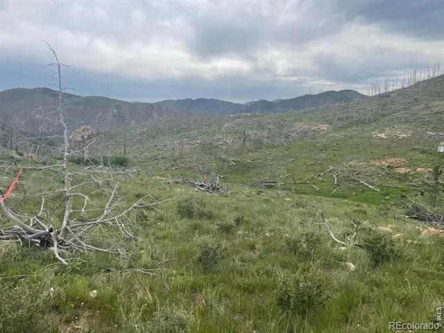 1400 Meadow Mountain Drive Livermore, CO 80536