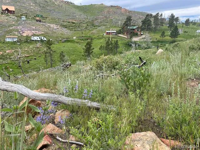 1400 Meadow Mountain Drive Livermore, CO 80536
