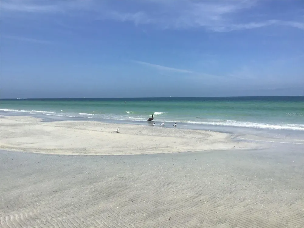 1460 GULF BOULEVARD #702 Clearwater Beach, FL 33767