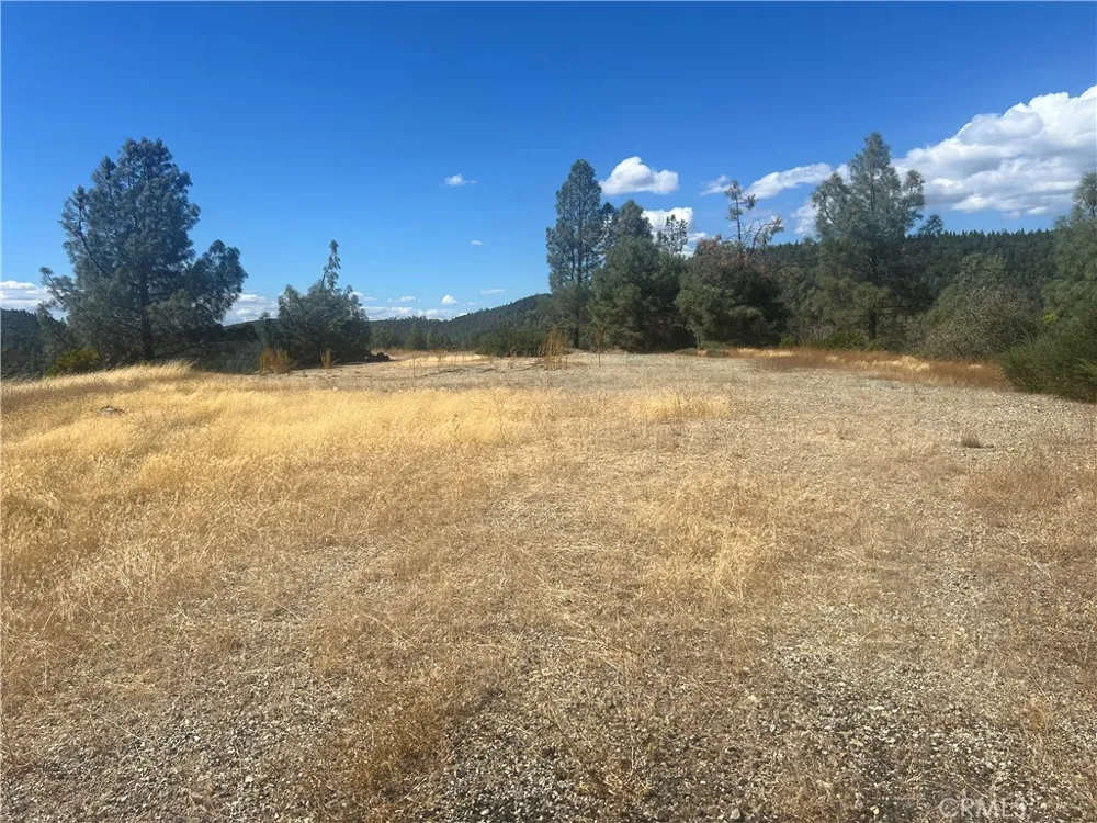 8260 Sulphur Creek Road Loch Lomond, CA 95461